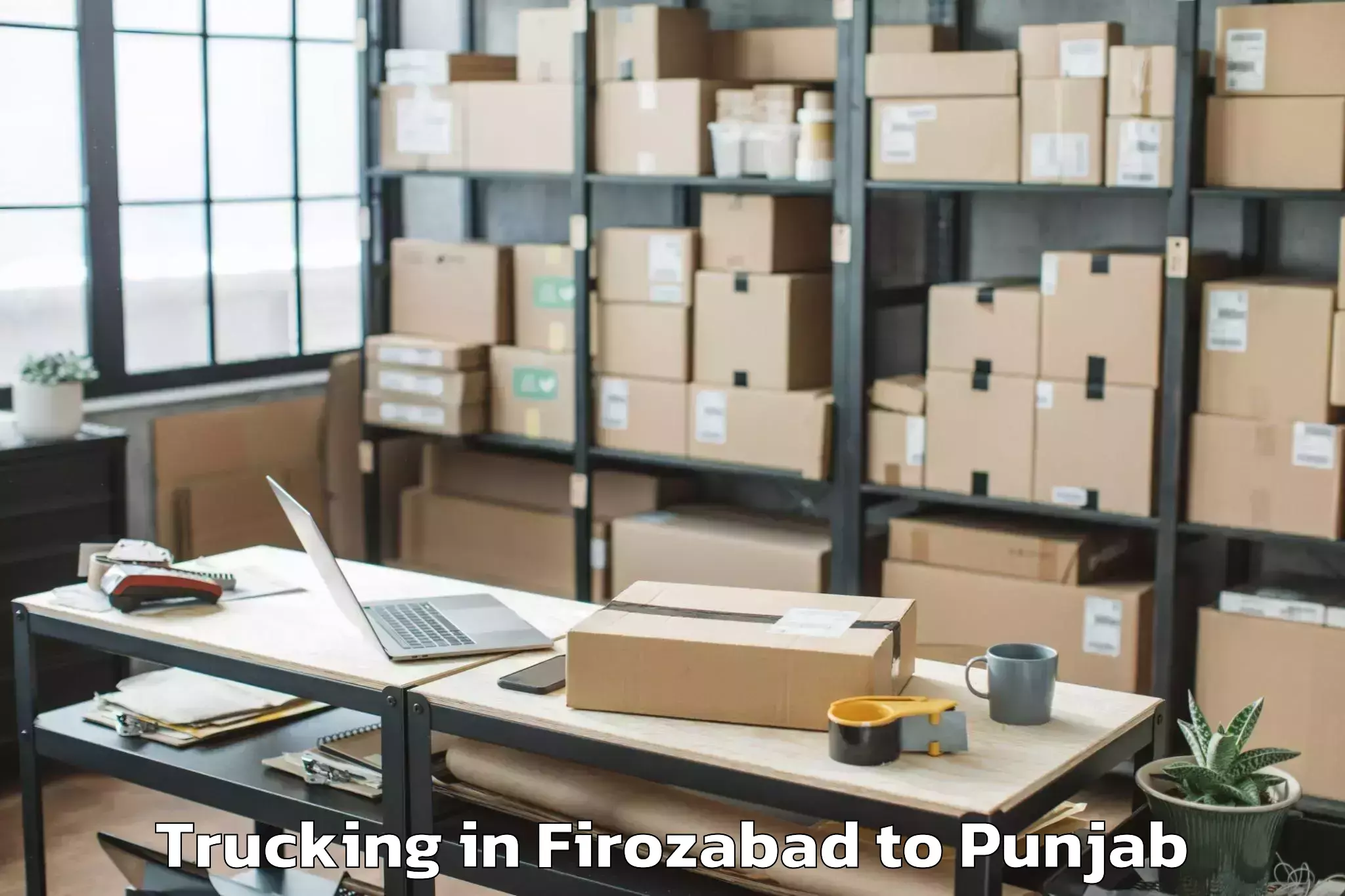 Reliable Firozabad to Doraha Trucking